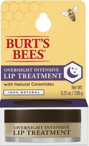 BURT'S BEES OVERNIGHT INTENSIVE LIP TREATMENT POTJE 7,08 GRAM