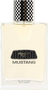 FORD MUSTANG POUR HOMME EDT FLES 100 ML